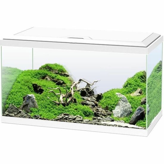 Aquarium Ciano