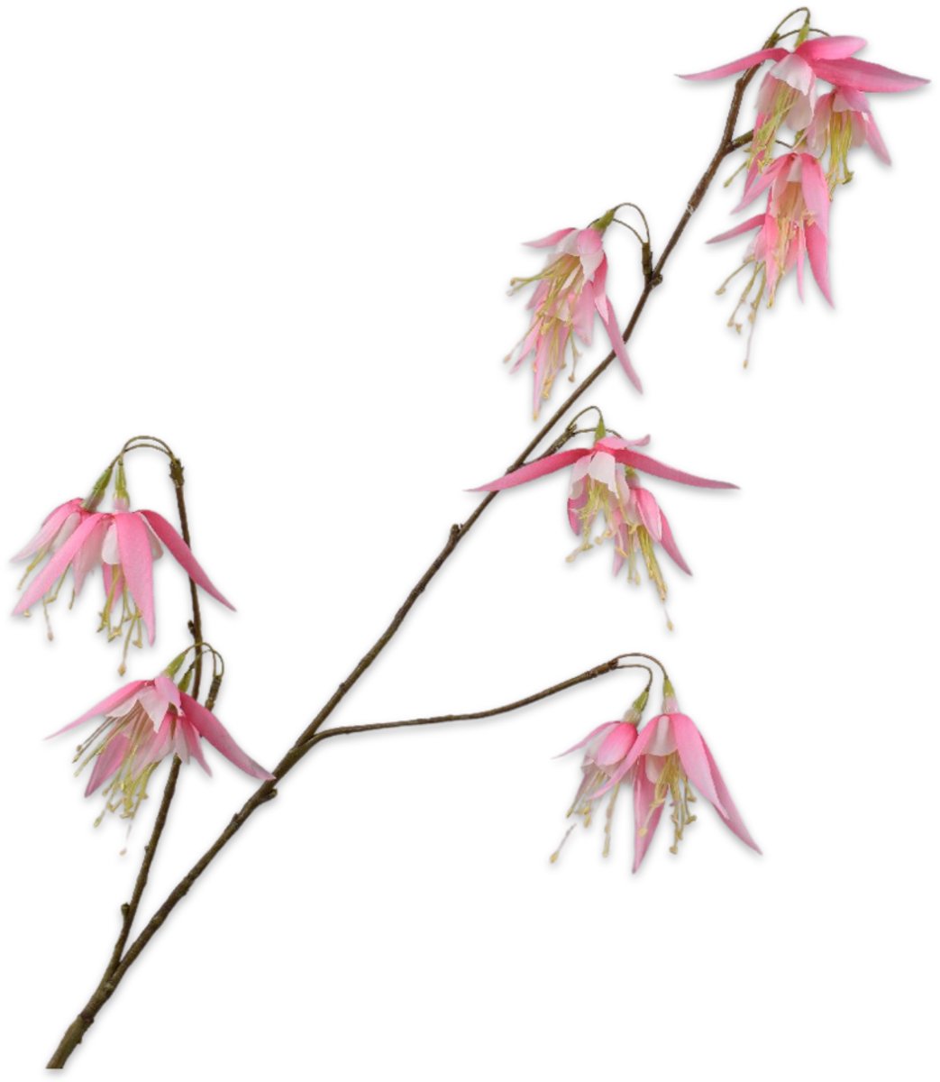 Silk-ka Kunstbloem - wit - H85 cm