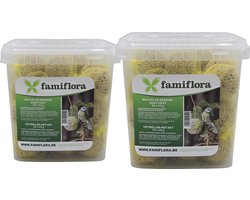 Famiflora set van 70 mezenbollen met netje - 2 x 35 (90g per vetbol) - in emmer - Met netje zodat je eenvoudig kunt ophangen en de vetbollen netjes op hun plek blijven