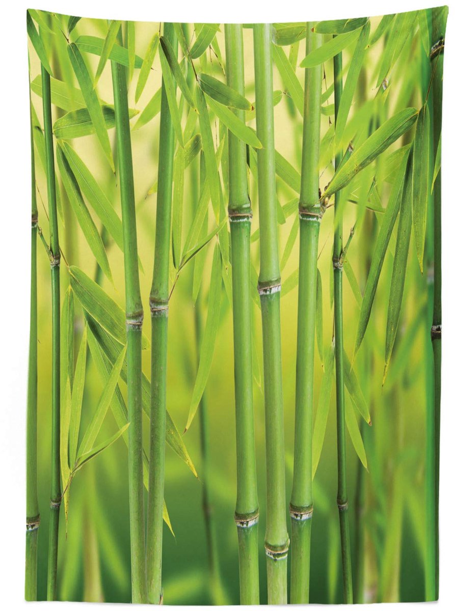 ABAKUHAUS Tafelkleed 140x170 Groen – Satijnmengsel, Machinewasbaar