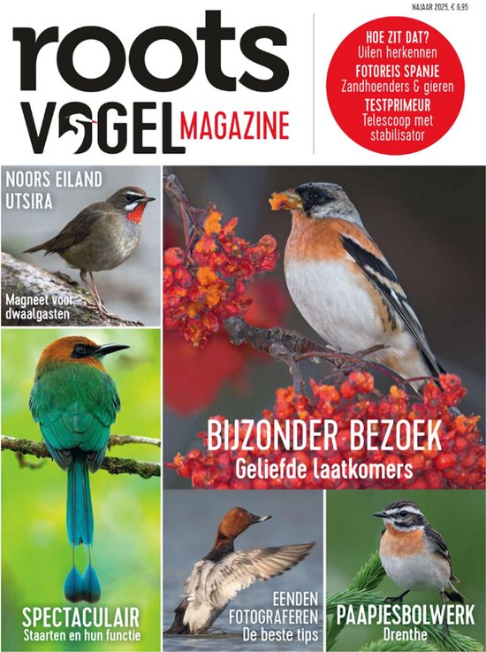 Roots Vogelmagazine - najaar 2025