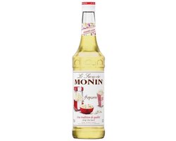Monin Koffiesiroop Kiwi - 70 cl