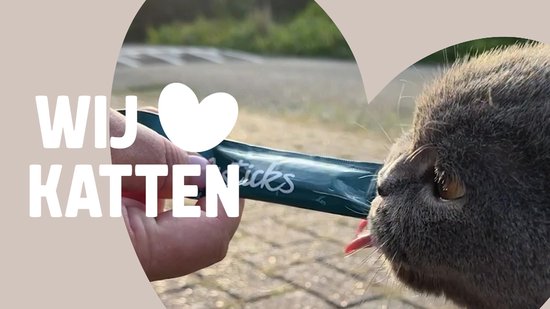 QitinDasen Professionele Huisdier Nagelknipper, Roestvrij Staal Huisdier Klauwknipper, Hond Nagelknipper, Kat Nageltrimmer, met Gratis Nagelvijl