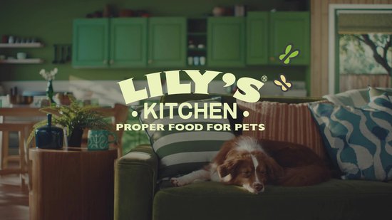Lily's Kitchen Gemaakt met natuurlijke ingrediënten, natvoer in blik hondenenior-formule met kalkoen, 6 x 400 g