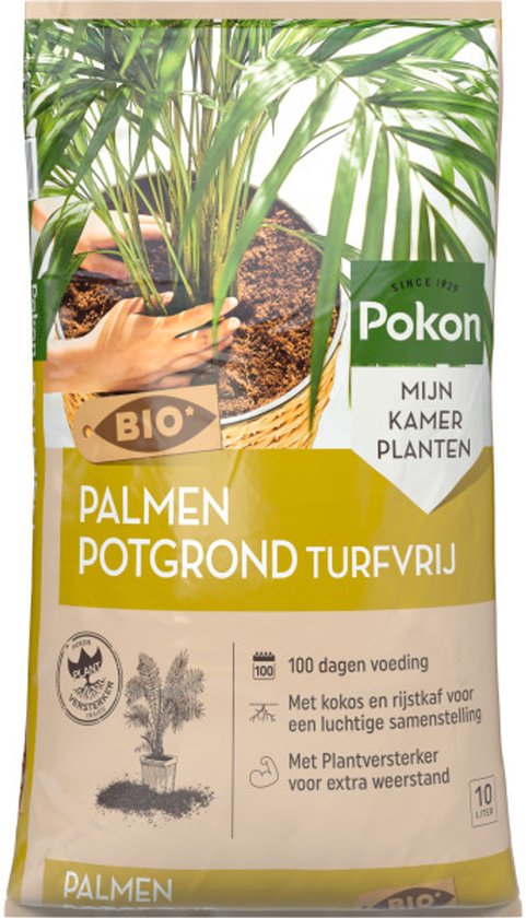 Pokon BIO palmen potgrond turfvrij. Met groene handen wordt een palmplant in een mand geplant. 10 liter.