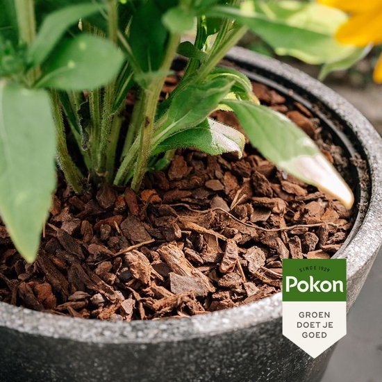 Close-up van de Pokon boomschors decoratie in een grijze bloempot, met groene planten en een logo.