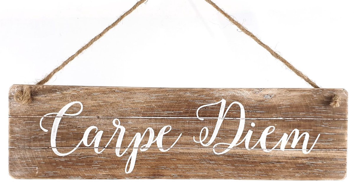 Tekstbord: Carpe diem 10x 35cm