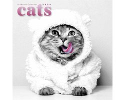 Katten Kalender 2026