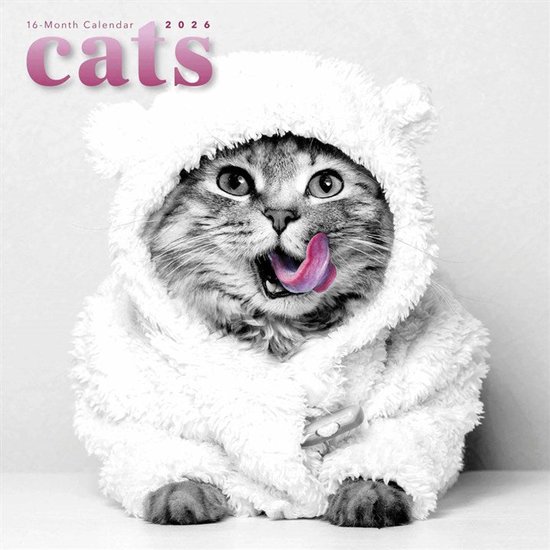 Katten Kalender 2026