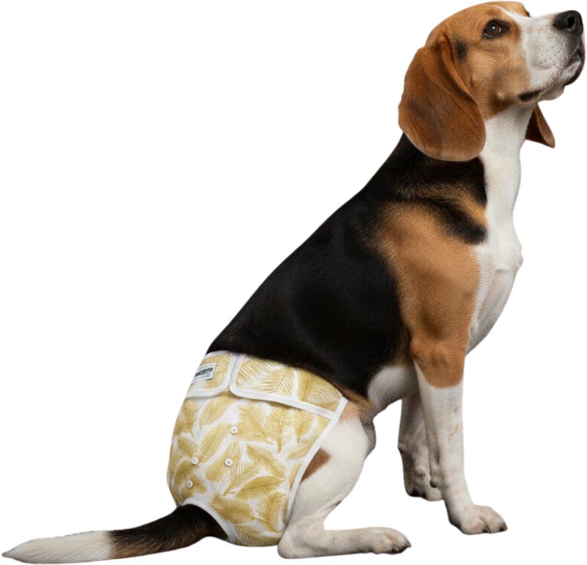 Loopsheidbroekje hond - gouden palmprint - maat L - voor grotere teefjes - herbruikbaar - hondenbroekje - hondenluier - loopsheid - incontinentie hond