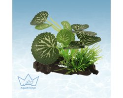 AquaKonings - Aquarium decoratie - Aquarium kunst planten - Nepplanten - Kunstplant - Plant op stronk - 13x10x10