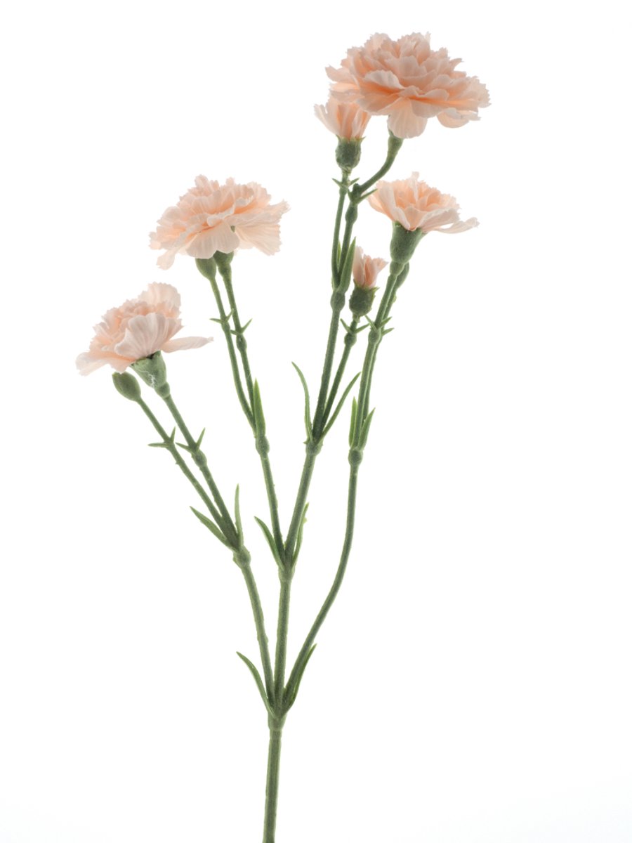 Erutan avon Dianthus Charly lt peach 62 cm kunstbloem Erutan Avon oranje