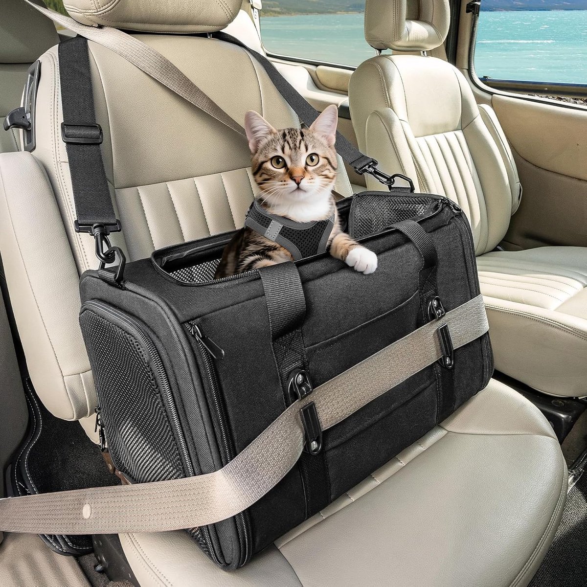 Kattendrager voor Kleine Honden en Katten - Geventileerde Draagtas met Verstelbare Schouderbanden - Zacht en Comfortabel - Zwart 45 cm
