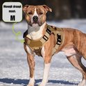 Een bruine hond met een beige tuig. "Mowgli draagt maat: M" staat in een spraakballon.
