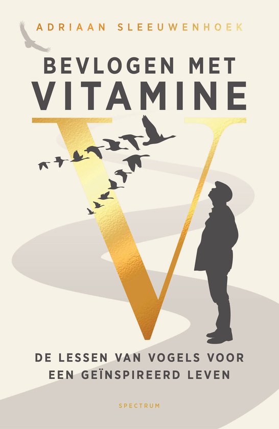 Bevlogen met vitamine V - cover