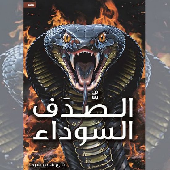 الصدف السوداء - cover