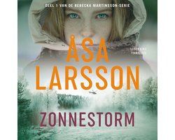 Omslag van Zonnestorm