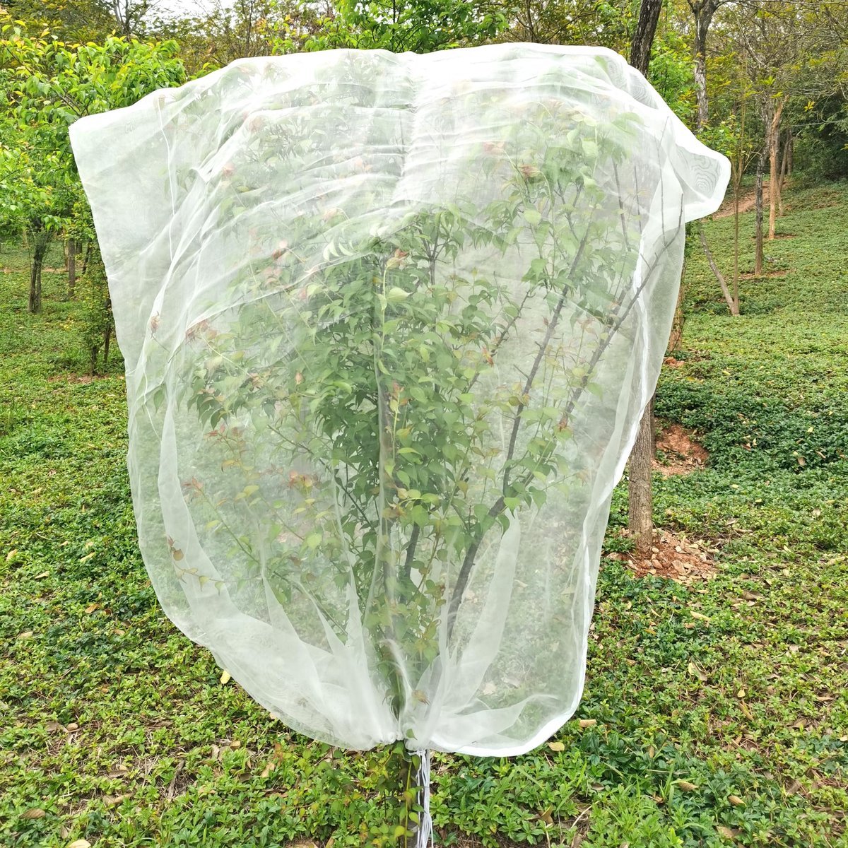 Stunq® Fruitboom Net Bescherming - Insectenwerend Net met Ritssluiting, 2.5m x 2m