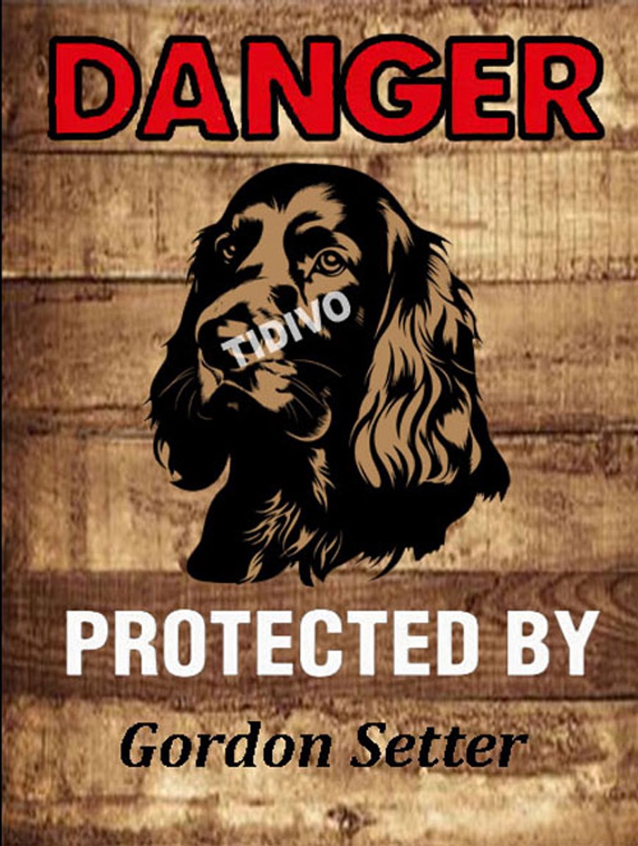 Gordon Setter 19