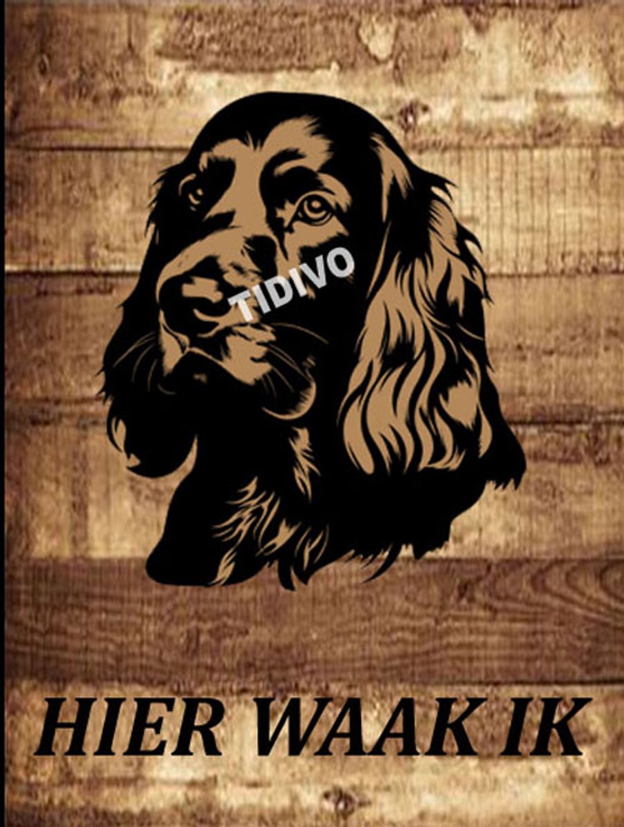 Gordon Setter 20
