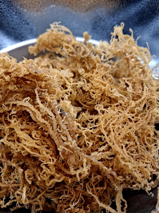 Gedroogde, lichtbruine, vezelige sea moss in een schaal.