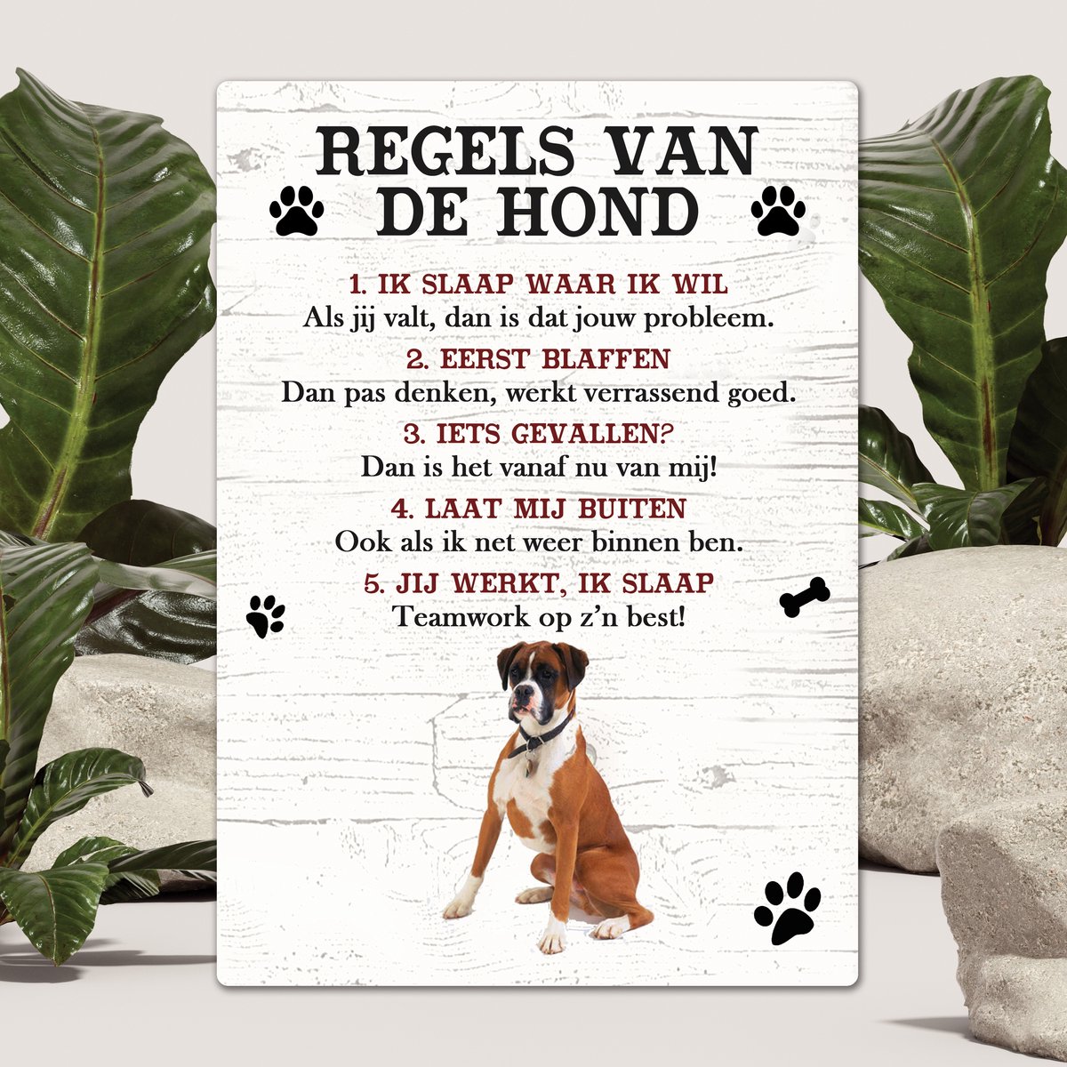 Spreuken - Boxer - Regels Van De Hond - Spreuken Bordjes - Spreukenbord - Tekstborden - Cadeau - Hondenras