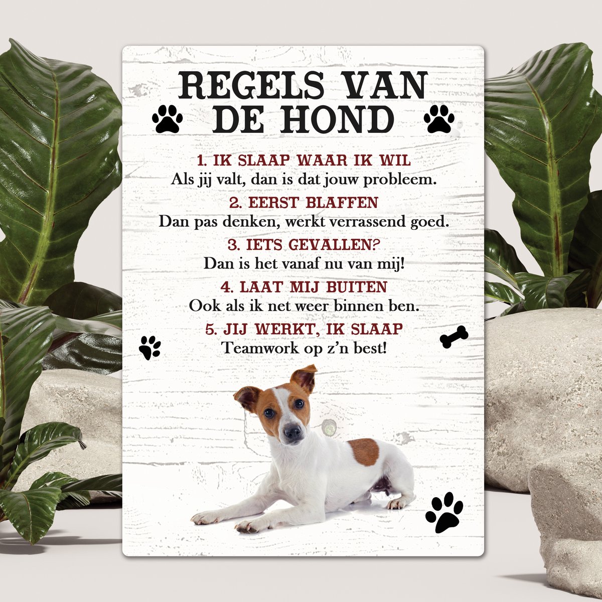 Spreuken - Jack Russel - Regels Van De Hond - Spreuken Bordjes - Spreukenbord - Tekstborden - Cadeau - Hondenras