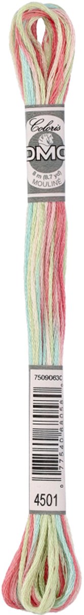 DMC Mouline Coloris Nr. 4501 Borduurgaren