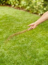 Graszaad snelkiemend | Voor herstel en doorzaaien