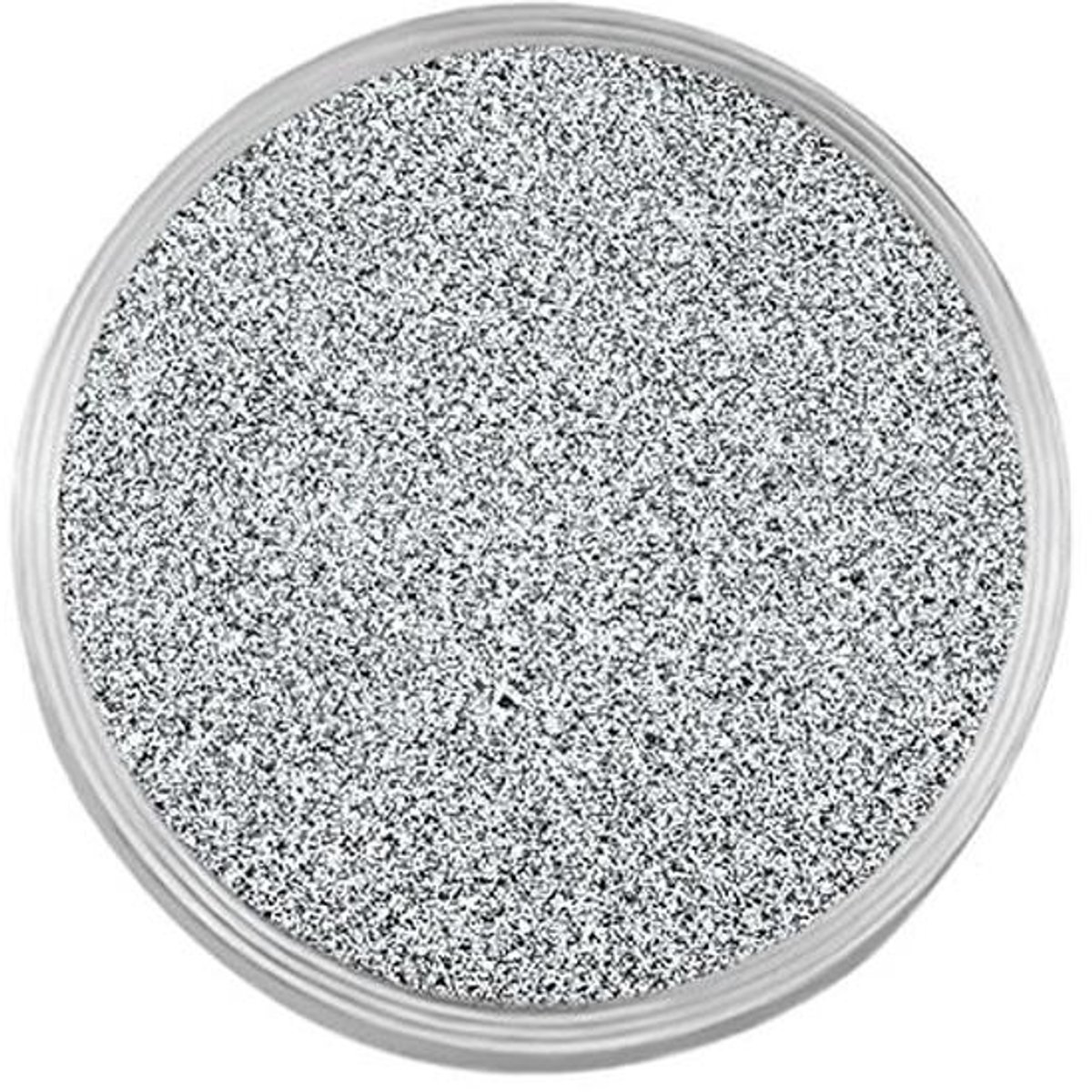 Mini Coin RVS Glitters Zilver voor Sieraden