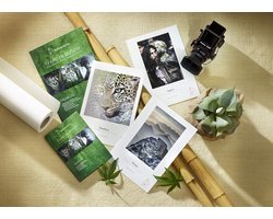 Testpakket FineArt Fotopapier A3+ Natuurlijke Lijn (6 Vel)