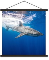 Porte-affiche avec affiche - Affiche scolaire - Requin - Mer - Water - 60x60 cm - Lattes noires