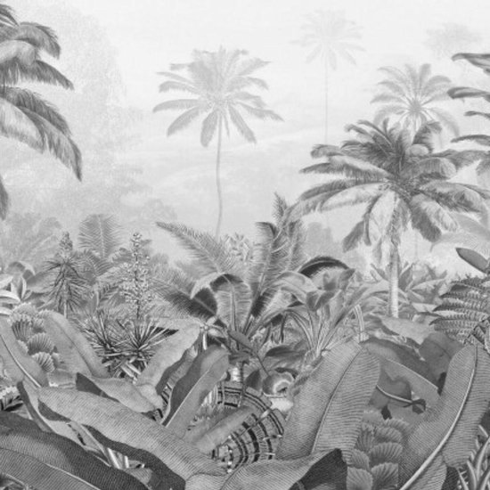 Komar Pure | amazonia black/white | jungle | fotobehang op vlies 400x250cm