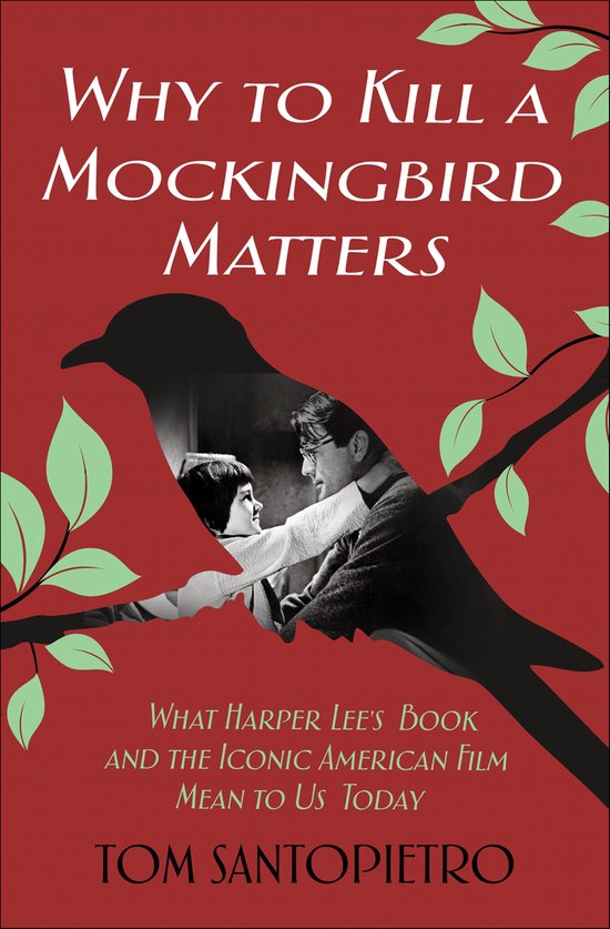 Why to Kill a Mockingbird Matters - cover