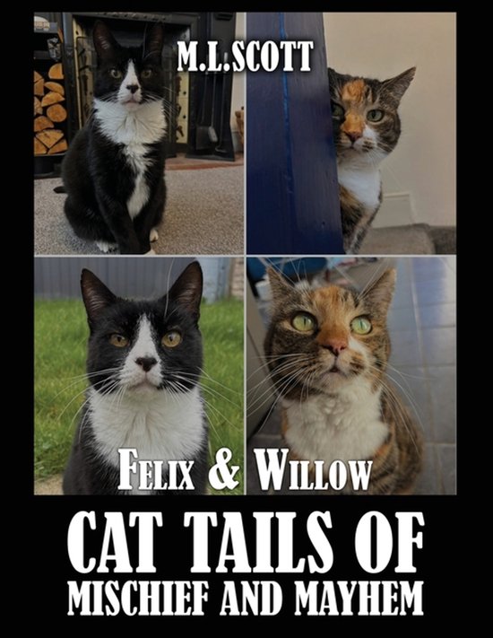 Felix & Willow cat tails of mischief and mayhem - cover