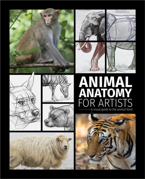 Animal Anatomy for Artists - cover