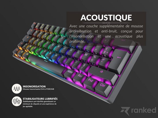 AJAZZ AKS068 Wired Mechanical Gaming Keyboard with Spiral Cable, Gasket Mount Alice 68 Format and CNC Button, Hotswap Red Switch, VIA Programmable, RGB Backlight-Purple