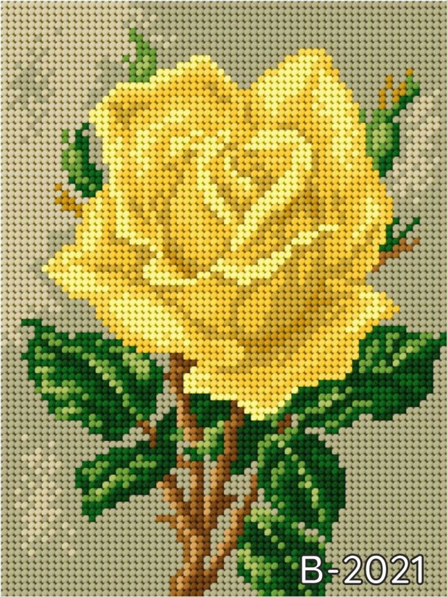 Borduurpakket met Canvas en Garen - 15x20cm