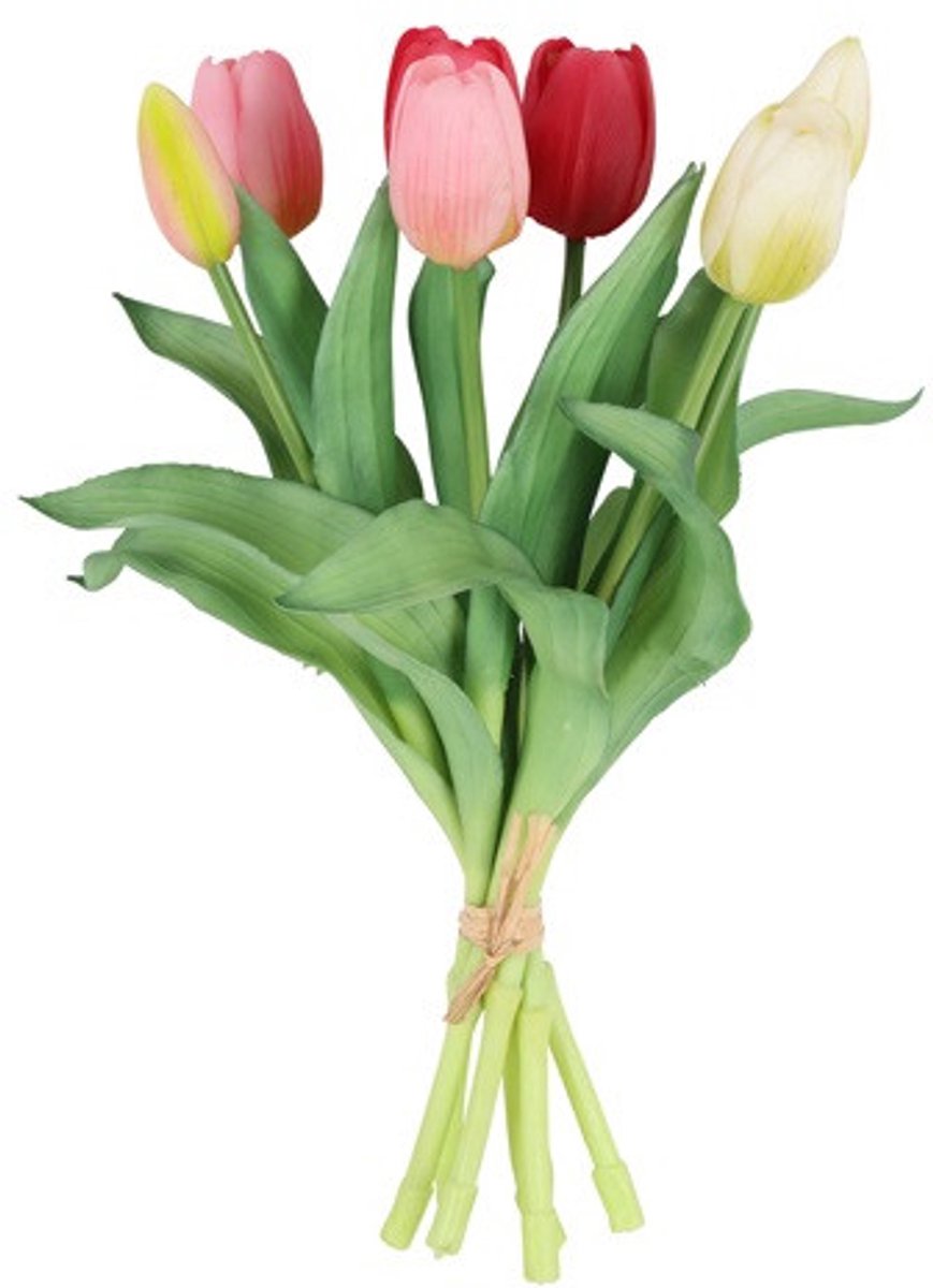 Countryfield Tulipa Boeket - Tulpen - Veelkleurig B - 30 cm