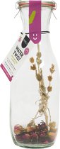 Pineut ® Watertwist - Tafelwater Roos, Bergthee & Hibiscus - Cadeau Vrouw - Waterkan Glas 1L - Hervulbaar - Fris & Fruitig Cadeau - Gezond & Gezellig Genieten