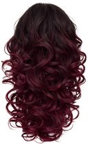 Guardian Beauty Paardenstaart Extensions - Clip-in - Haarextensions - 30cm - Code: 6T118B