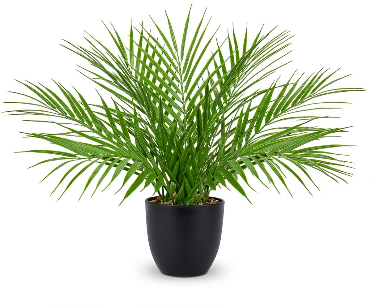 Unyqoos Decoratieve kunstpalm in pot voor elke interieurstijl en ruimte Zwart