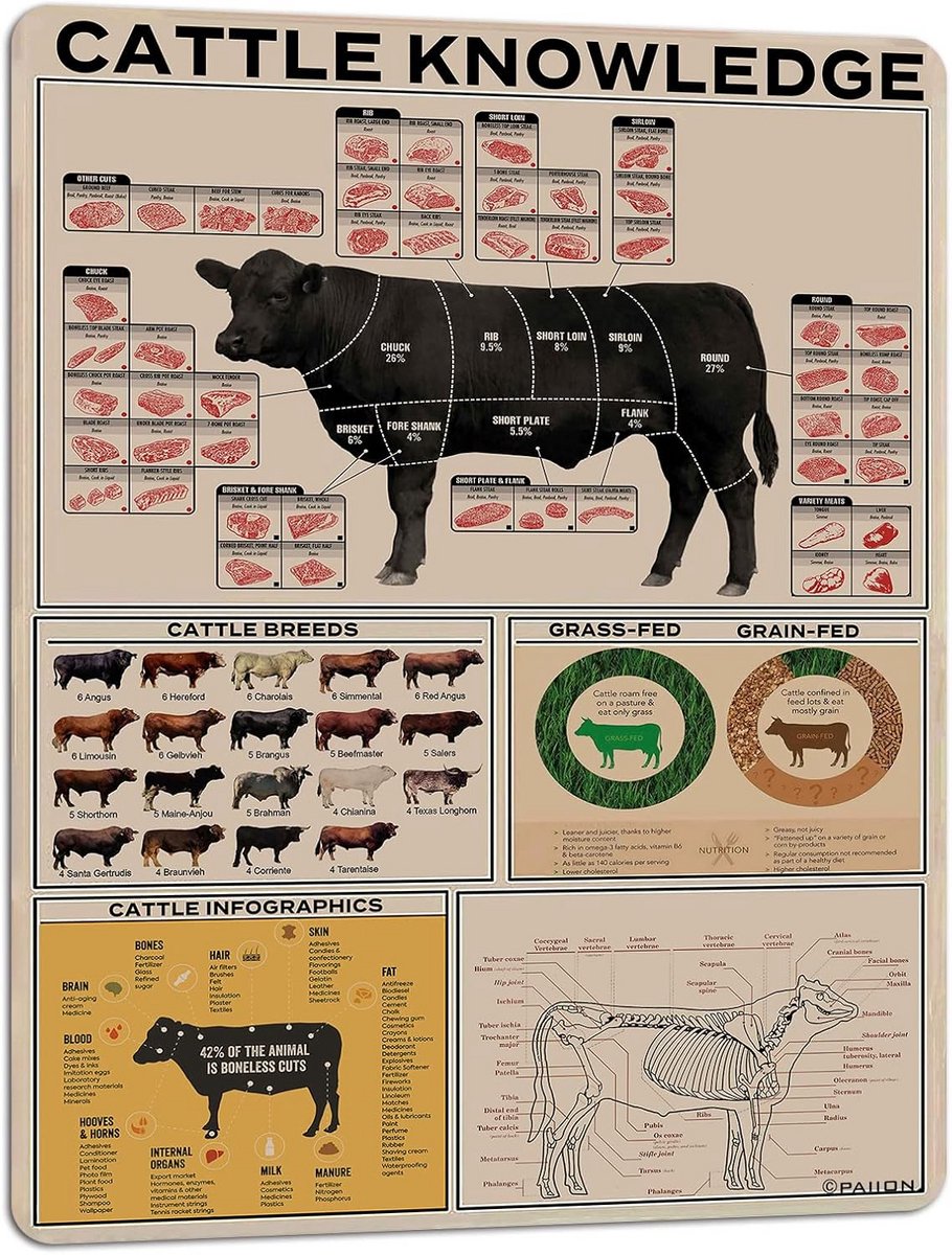 Metalen Wanddecoratie met Vee Kennis Diagram - Educatieve Poster Boerderij Dieren