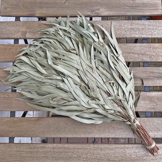 Eucalyptus Saunatakken - Aromatische Sauna Takken voor Sauna & Wellness