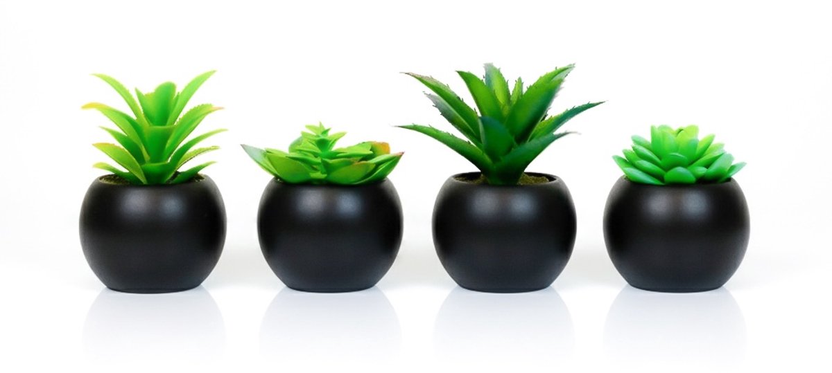 Atmosphera Kunstplanten in Pot - Zwart Rond - Set van 4 - Voor Binnen - Klein - Nep plant - Succulent - Wonen & Decoratie - Interieur - Keuken - Badkamer - Woonkamer