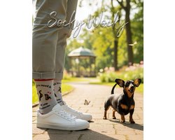 All You Need is Love and a Dachshund - Honden - Dogs - SOKKEN - 2 Pack - voor Mannen & Vrouwen - BIG SHOE (41-46) Socks - Humorvolle Huissokken - Verjaardagscadeau - Geschenk voor Heren, Dames, Vader, Moeder, Vriendin, Zus, Oma - Cadeau SOCKY WOCKY
