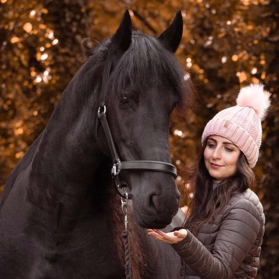 Brama-West Outdoor deken voor Paarden Riders King met High Neck - 600 D/100g - Waterdicht - Bruin - Gr. 145 Brama-West Outdoor deken voor Paarden Riders King met High Neck - 600 D/100g - Waterdicht - Bruin - Gr. 145