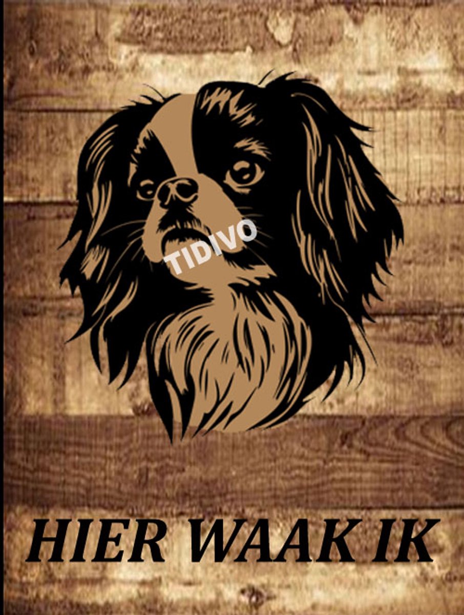 Japanse Spaniel 20