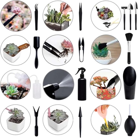 13-delige set - Vetplantentuinset - Tuingereedschapsset - Mini-tuingereedschap voor binnen - Vetplantenverplantingsset - Duurzaam - Zwart - Perfect voor kleine potplanten, kruidentuinverzorging en verzorging van kleine planten van Merkloos	 — afbeelding 2