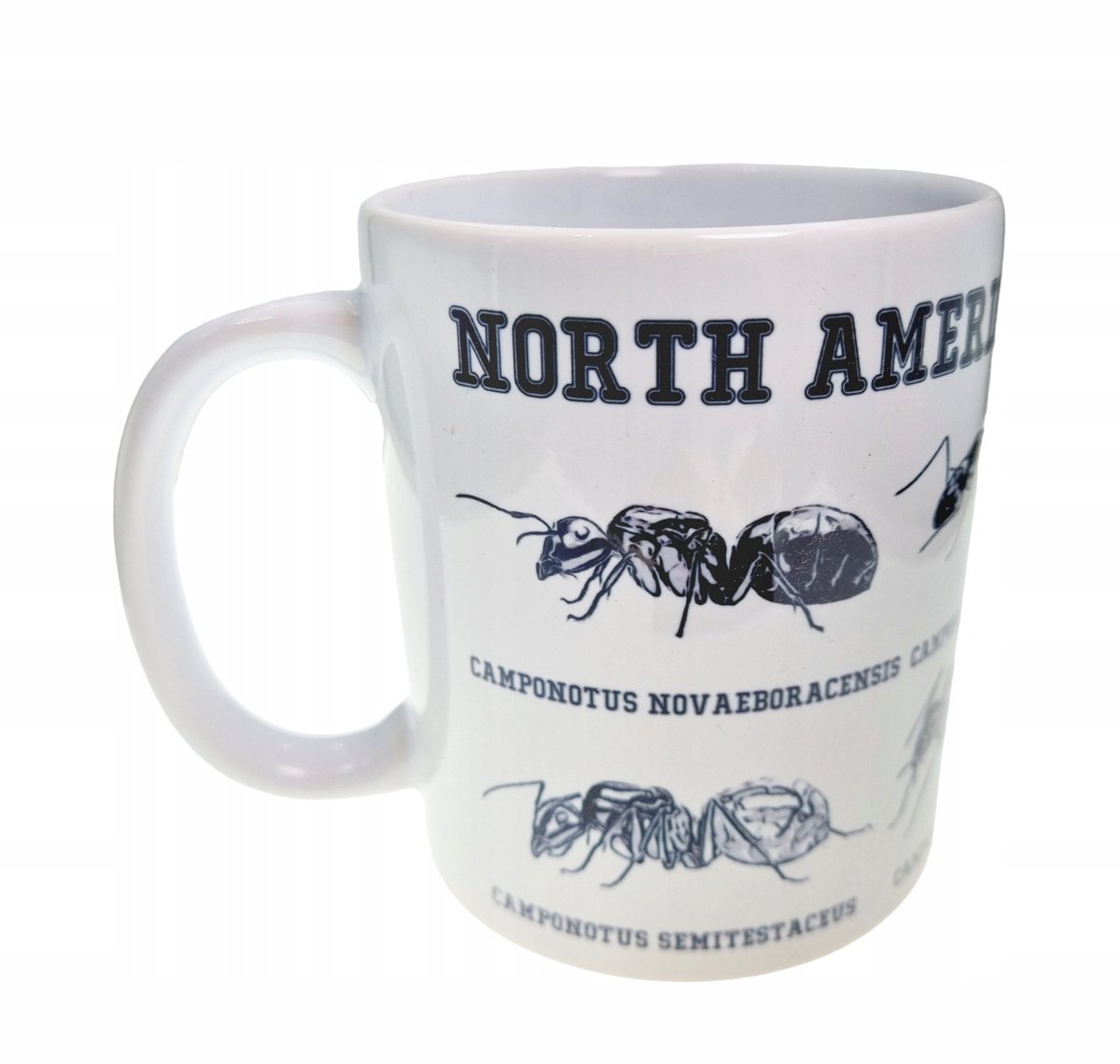 Camponotus Ameryka Północna AH-5 Mok AntHunter Mok Keramiek 330ml